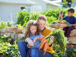 Veggie Garden